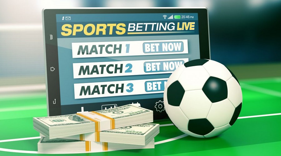 Sports Betting In Florida: Has It Been Legalized, How To Bet On The Web, Where To Get Picks, Newer Promos